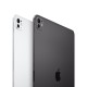 11-inch iPad Pro Wi-Fi 256GB Standard Glass - Silver (M4)