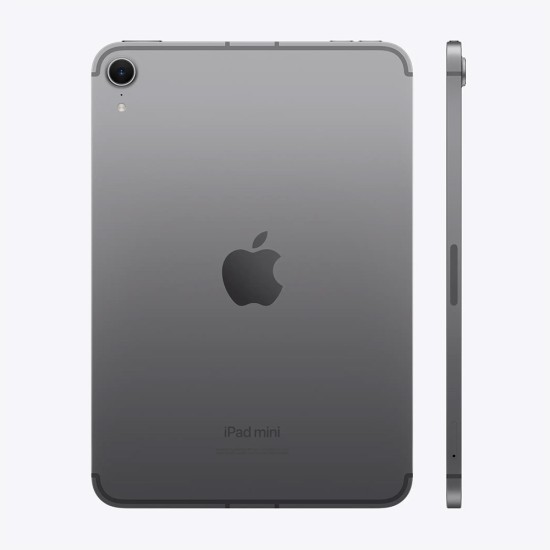 iPad mini Wi-Fi + Cellular 128GB - Space Gray