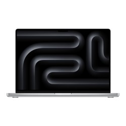 16-inch MacBook Pro - Silver (Base Config: 14-Core M4 Pro, 24GB Memory, 512GB Storage)