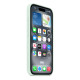 iPhone 16 Silicone Case with MagSafe - Aquamarine iPhone 16 Silicone Case with MagSafe - Aquamarine